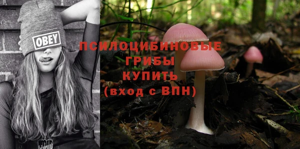 круглые Шарыпово